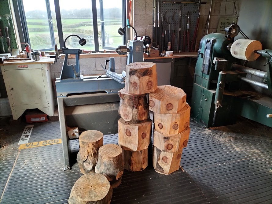 Monkey Puzzle ready for turning